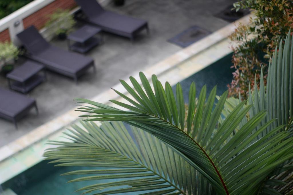 Bazén v ubytování Hanaka Riverside Ubud nebo v jeho okolí