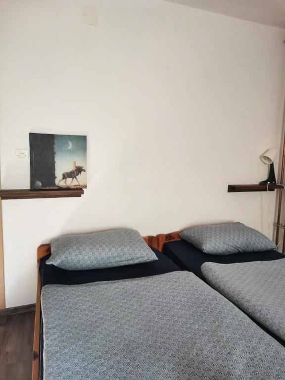 Postel nebo postele na pokoji v ubytování Sobe Pri Olivi