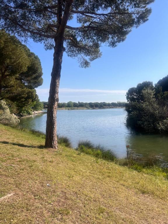 Příroda nedaleko apartmánu