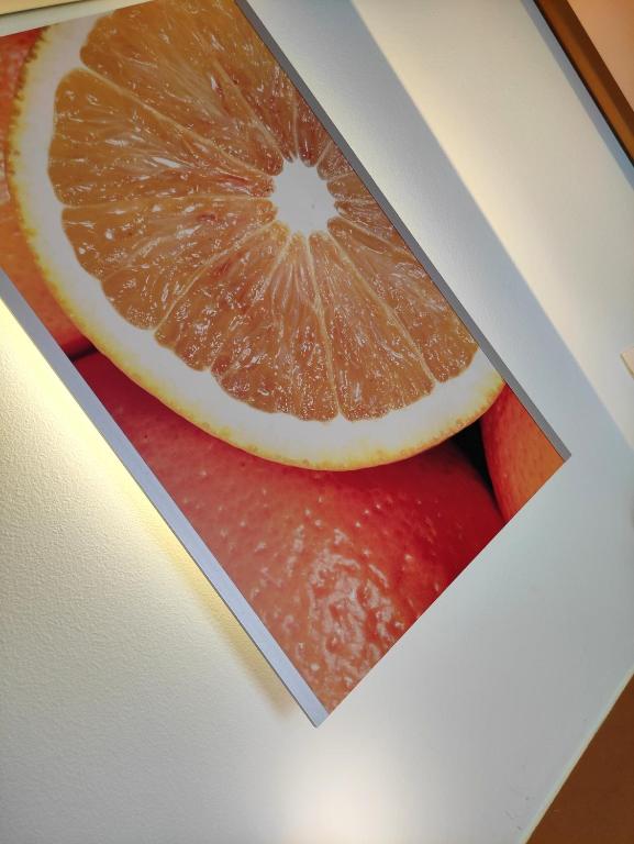 Fotografie z fotogalerie ubytování Orange Wings Wiener Neustadt v destinaci Wiener Neustadt