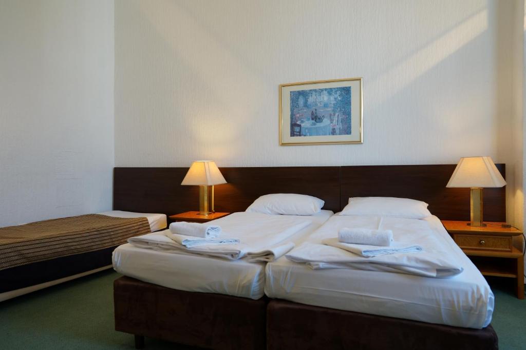 Postel nebo postele na pokoji v ubytování Hotel Ambert