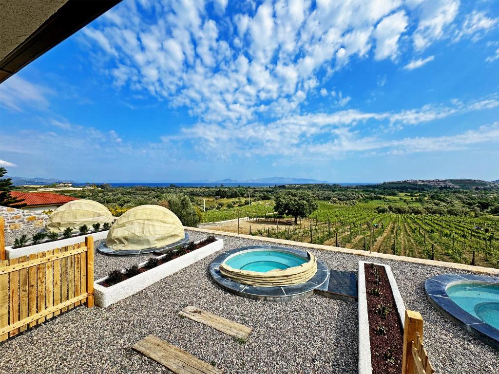 Bazén v ubytování Datça Vineyard Guesthouse - Over 14 years old only nebo v jeho okolí