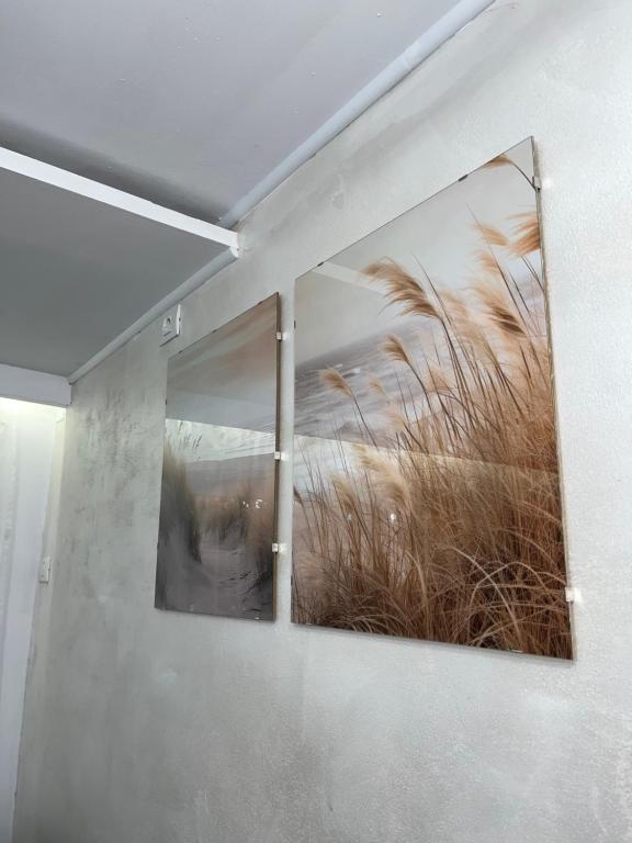 Fotografie z fotogalerie ubytování Casa Timerar v destinaci Venus