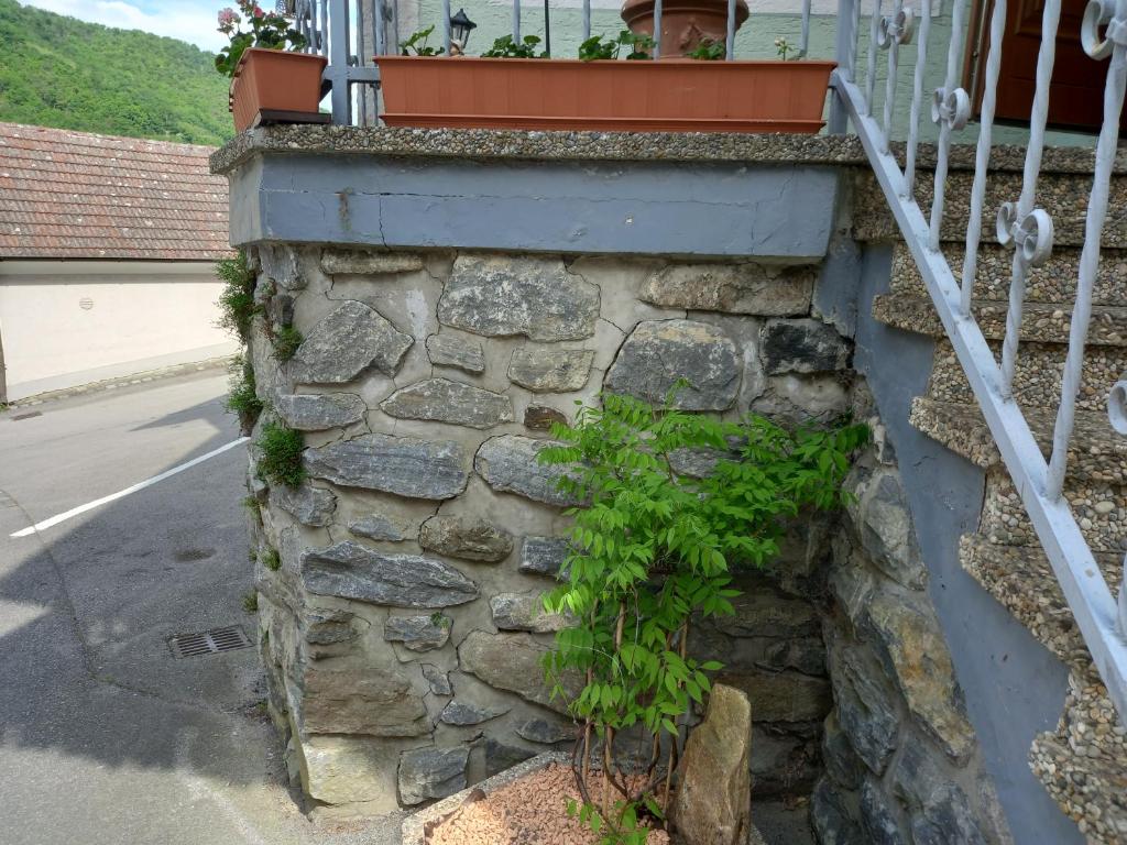 Fotografia z galérie ubytovania Gästehaus-Pension Familie Dwars v destinácii Spitz