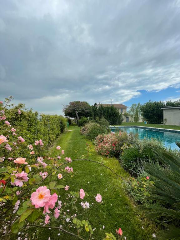 Swimmingpoolen hos eller tæt på El Patio