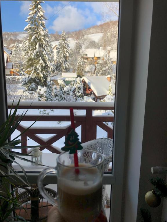 Willa Pod Starą Skocznią - 11