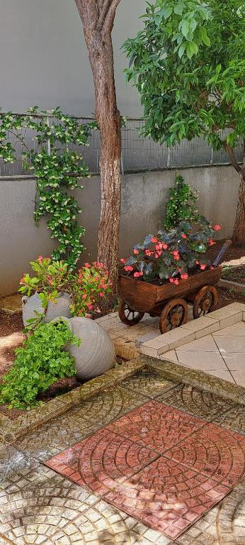 A garden outside Super renovated maisonette - Σούπερ ανακαινισμένη μεζονέτα