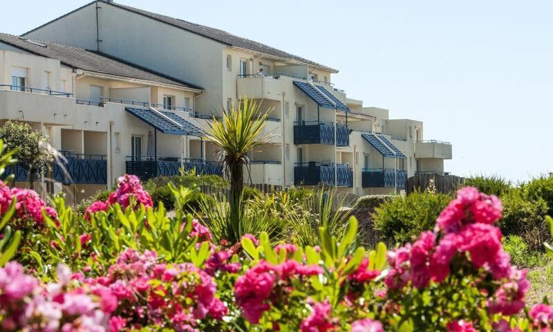 Une bande de fleurs roses devant les bâtiments dans l'établissement Appartement sur Lacanau Bleu Marine, à Lacanau