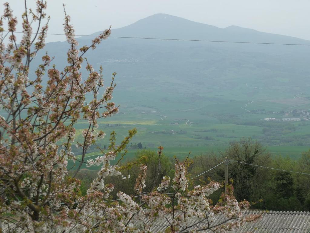 Príroda v okolí of the country house