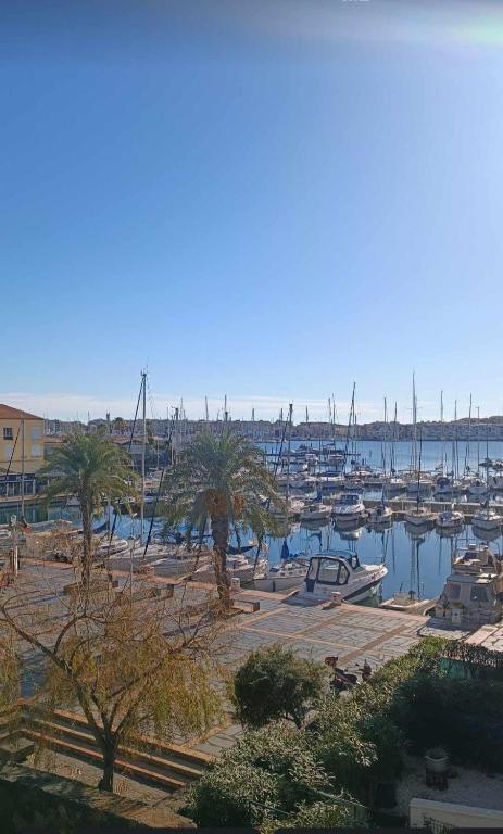 un port de plaisance avec beaucoup de bateaux dans l'eau dans l'établissement Appart neuf et cosy 2 personnes center port Cap d'Agde, au Cap d'Agde