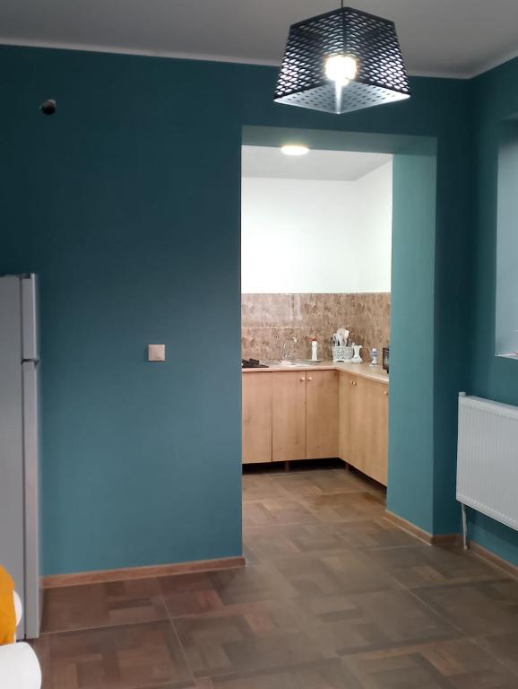Kuchyň nebo kuchyňský kout v ubytování PANDA Family Hotel in Senaki