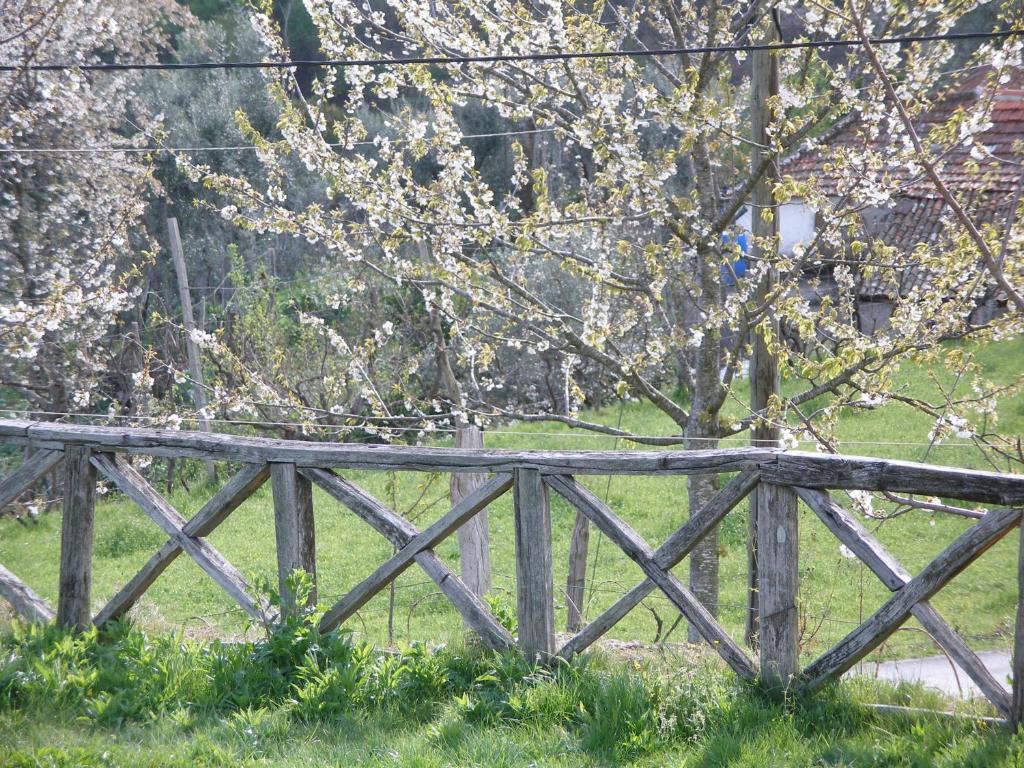 Zahrada ubytování Casa do Moleiro