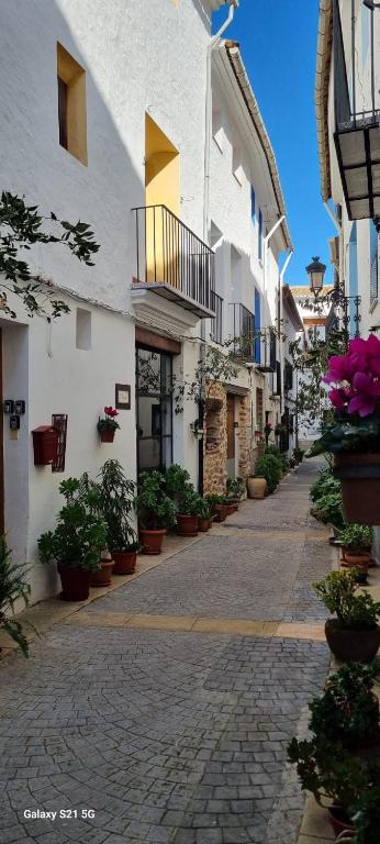 an alley with potted plants on the side of a building at Apartamentos turísticos "El Refugio" in Algar de Palancia