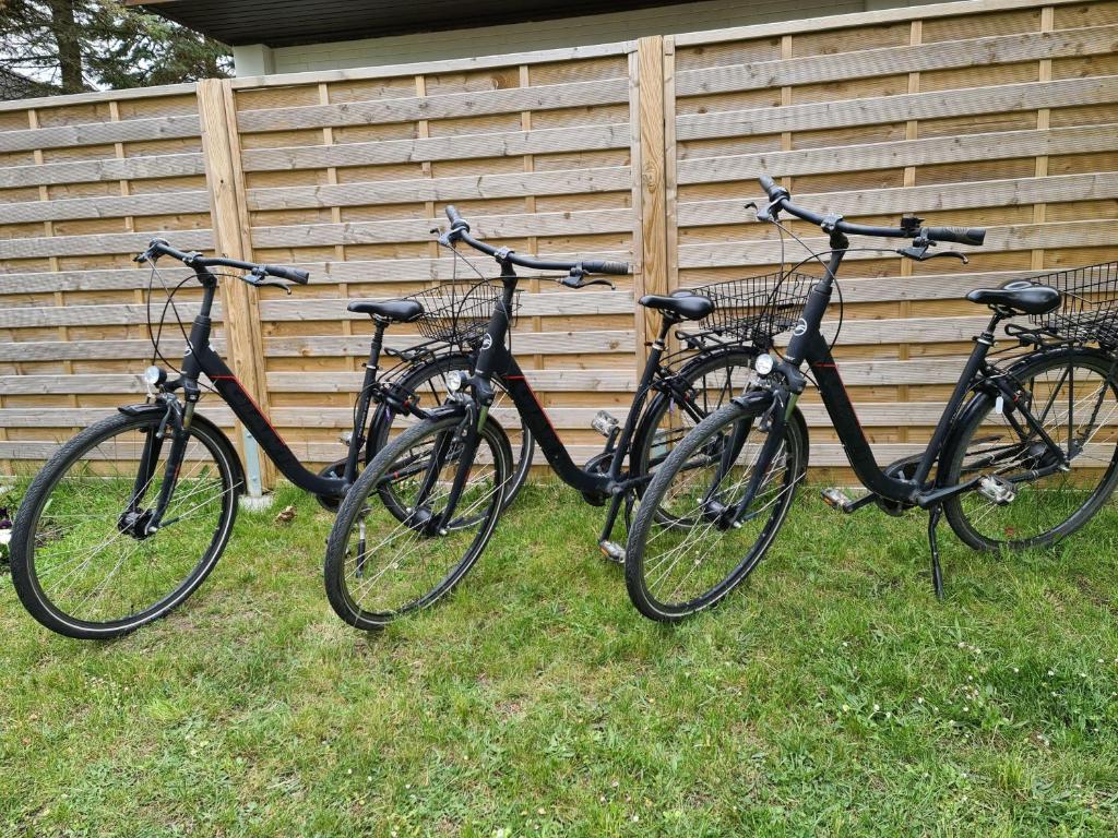 Jízda na kole v ubytování Landgang nebo okolí