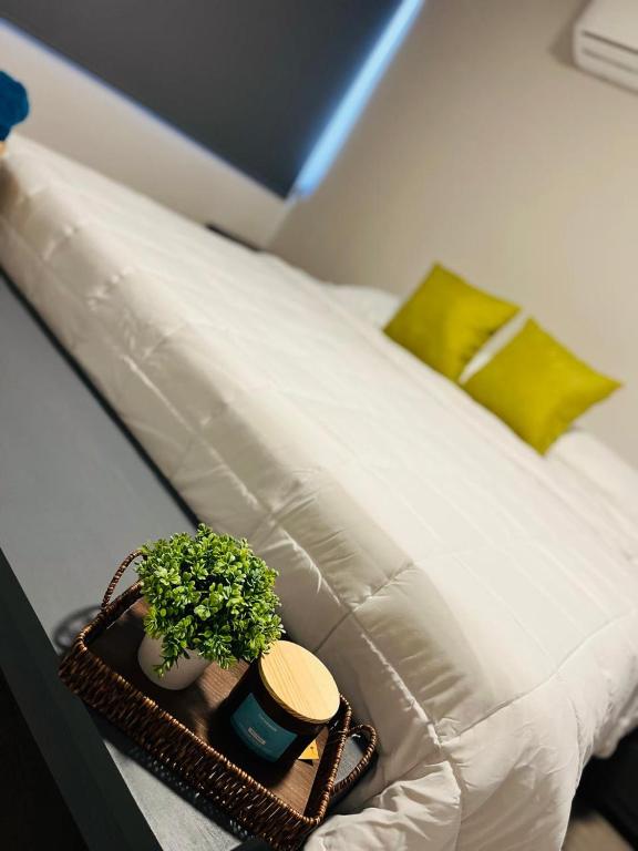 a bed with a tray with a plant on it at Depa Equipado Zona de Estadios & Restaurantes in Veracruz