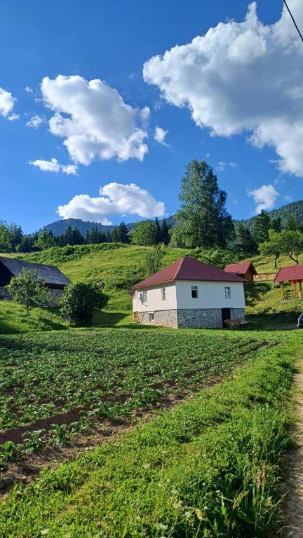 a white barn in a field next to a house at Seosko domaćinstvo Desin Do in Berane