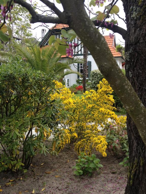 un jardin avec des fleurs jaunes devant une maison dans l'établissement manhé, à La Teste-de-Buch