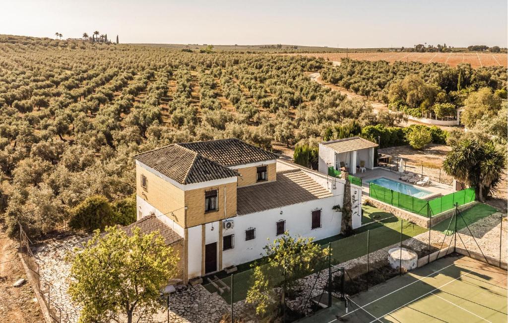 una vista aerea di una casa con vigneto di Cozy Home In Puente Genil a Puente Genil