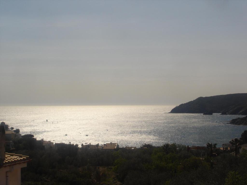 a view of a body of water with boats in it at Apartment Cadaques in Cadaqués