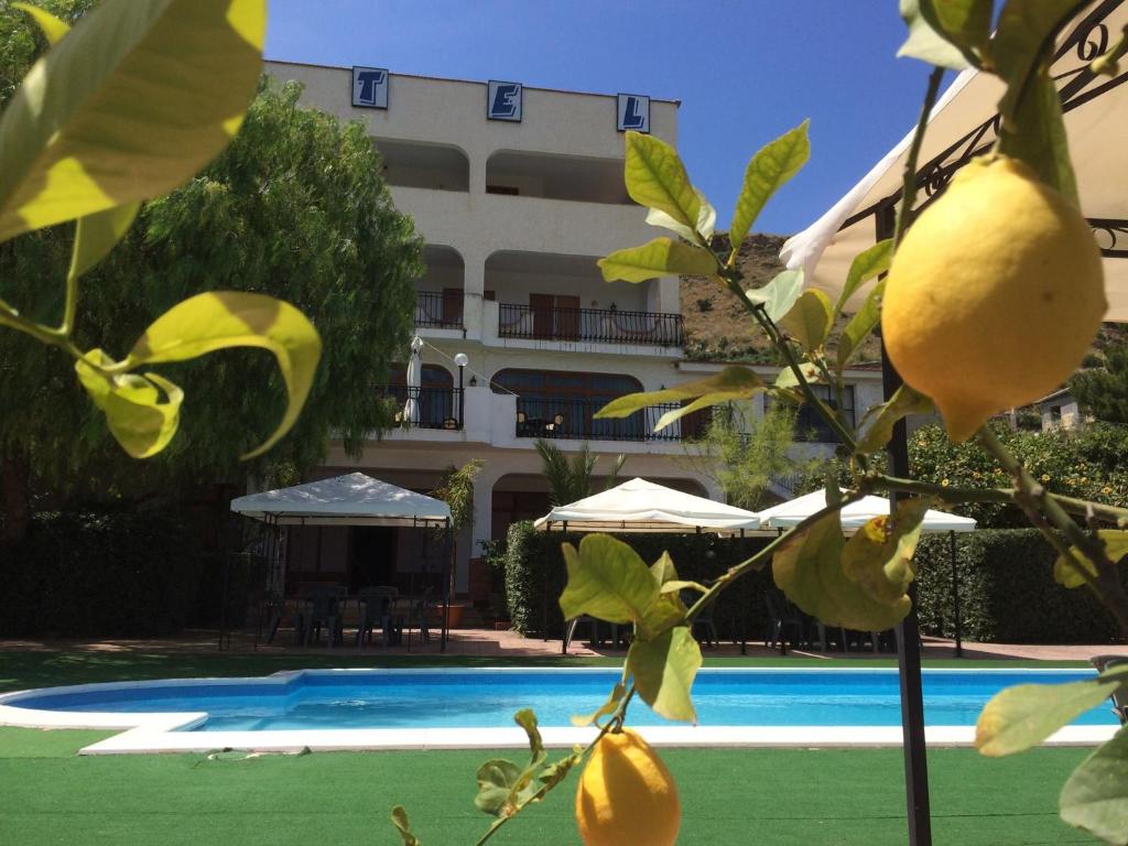 a lemon tree in front of a swimming pool at Hotel Miravalle in Misilmeri
