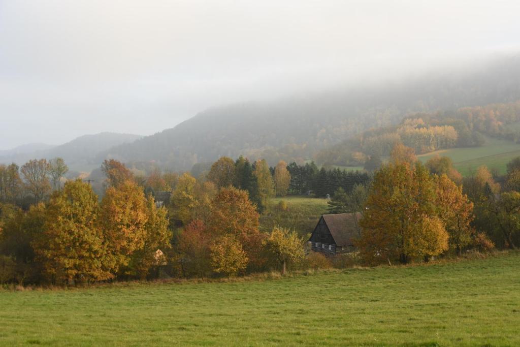 Příroda nedaleko luxury tent