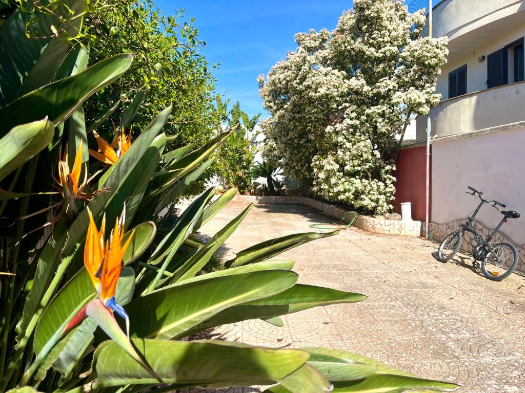 Φωτογραφία από το άλμπουμ του MYOURS Salento σε Porto Cesareo