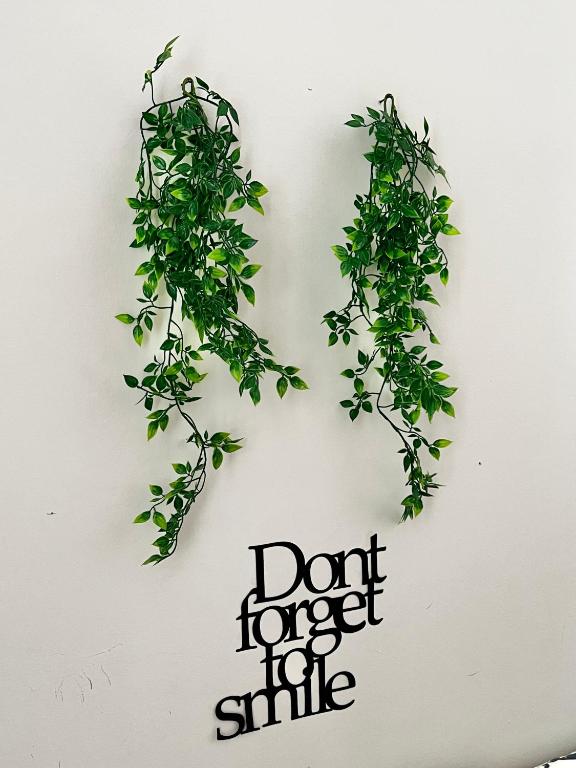 DOMIRA Olivova Residence - 15