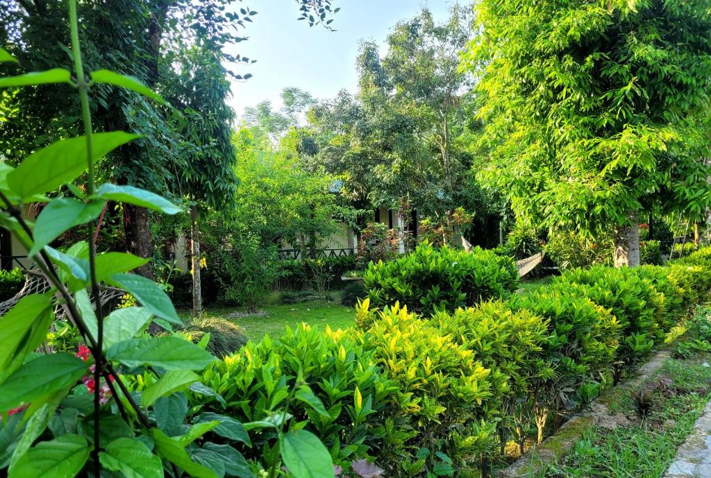Zahrada ubytování Hotel Butterfly - Peaceful Garden for Nature Lovers