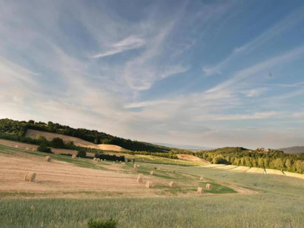 Kép Farmhouse near Siena with Scenic Views szállásáról Casole dʼElsában a galériában