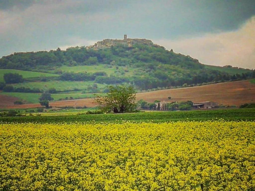 Kép Farmhouse near Siena with Scenic Views szállásáról Casole dʼElsában a galériában