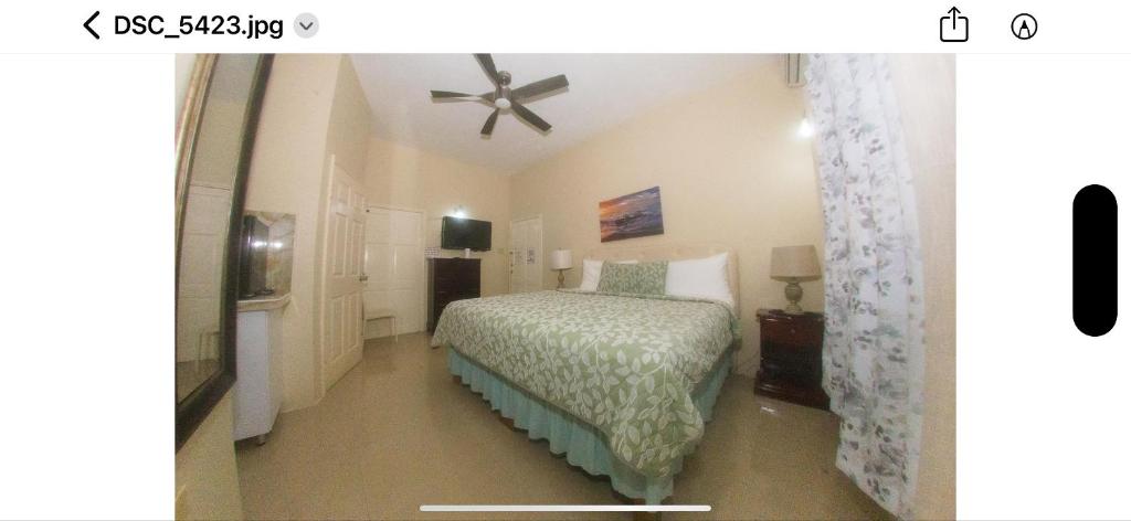 Postel nebo postele na pokoji v ubytování Dela de-Rose Guest House Negril Jamaica