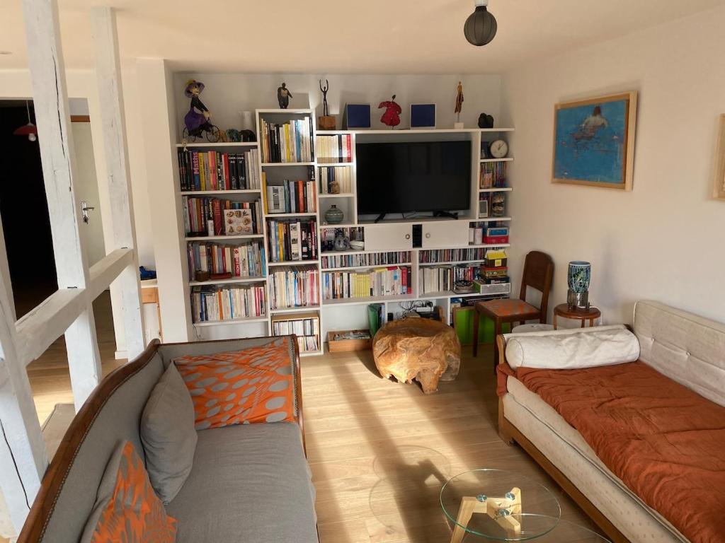 un salon avec un canapé, une télé et un chat dans l'établissement Spacieux et lumineux au centre de Strasbourg, à Strasbourg