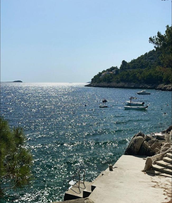 a boat in a large body of water at Prizba Tomas in Blato