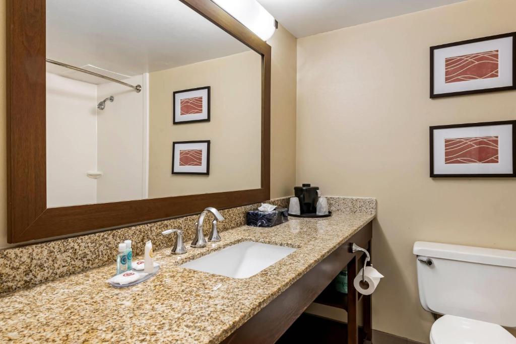 Koupelna v ubytování Comfort Inn MSP Airport - Mall of America