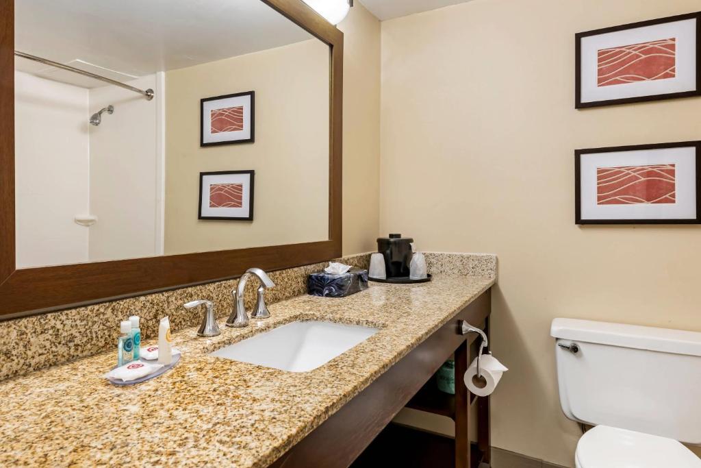 Koupelna v ubytování Comfort Inn MSP Airport - Mall of America