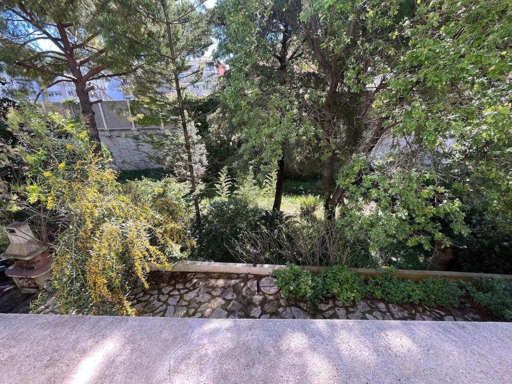 Een tuin van Seaside Jungle Retreat