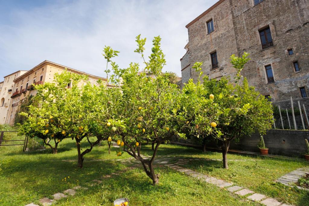 Vonkajšia záhrada v ubytovaní The Lemon Tree House