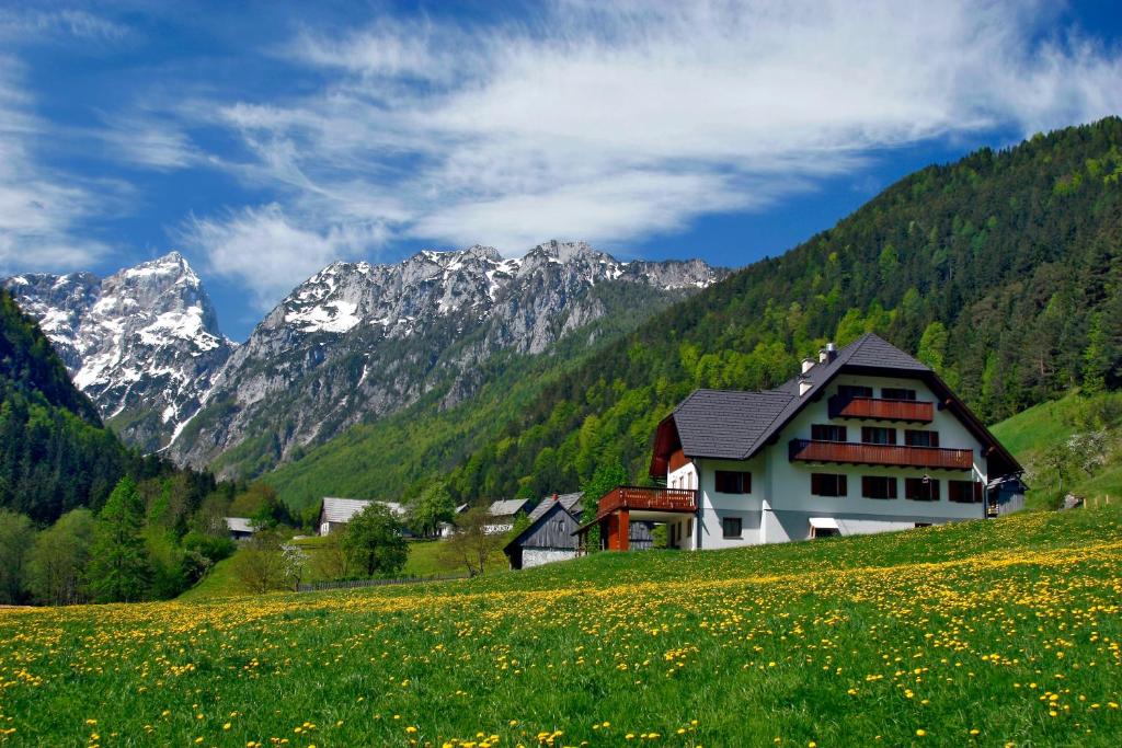 a house on a hill with mountains in the background at Govc-Vršnik in Solčava