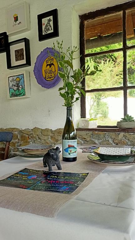un vaso con una pianta sul tavolo di Drina-Krivi Vir a Bajina Bašta