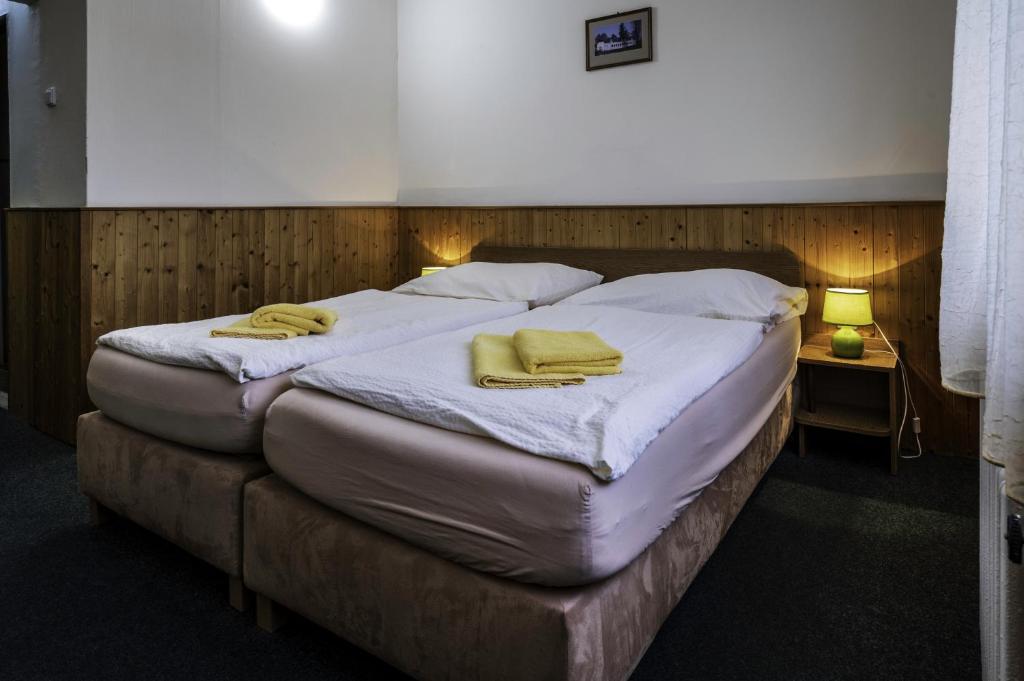 Postel nebo postele na pokoji v ubytování Hotel Bellevue