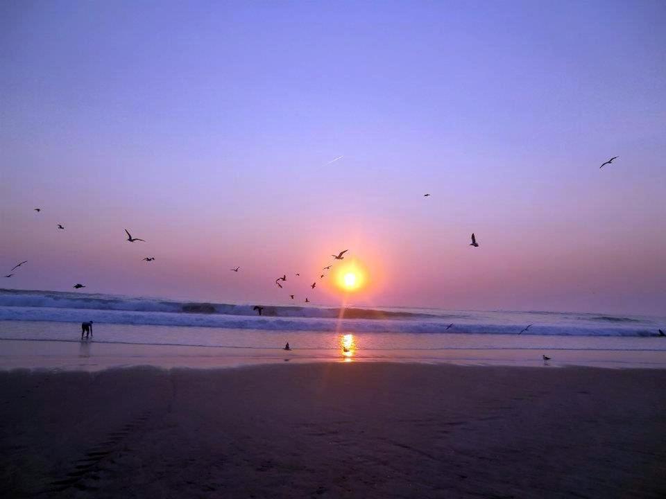 a flock of birds flying over a beach at sunset at Hotel Residencial Colibri in Costa da Caparica
