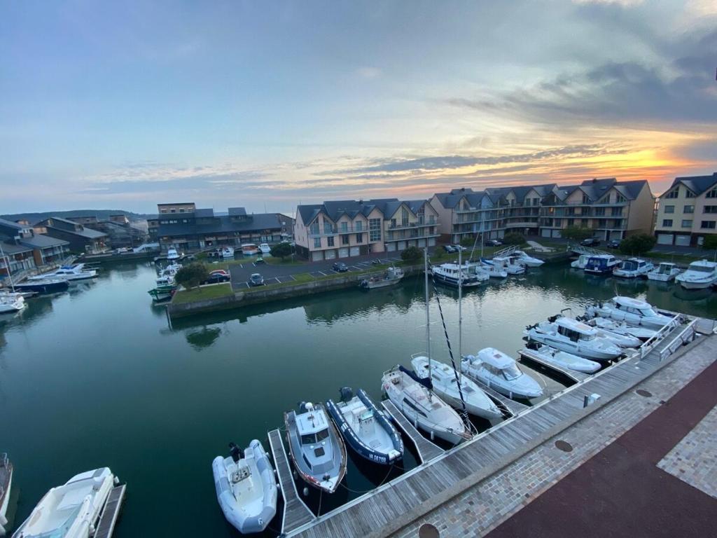 un groupe de bateaux est amarré dans un port dans l'établissement Deauville Marina Cosy F3, bord de mer, terrasse exposée sud-ouest, à Deauville