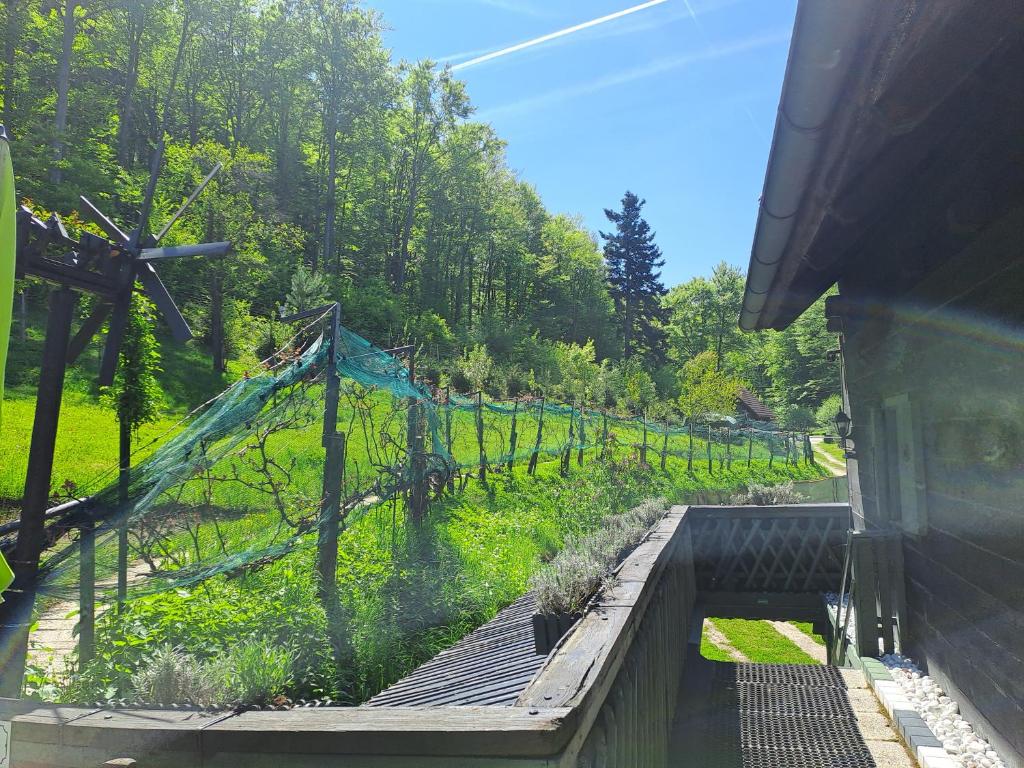 Zahrada ubytování Das Altsteirische Landhaus - La Maison de Pronegg - Feriendomizil im Biosphärenpark Wienerwald