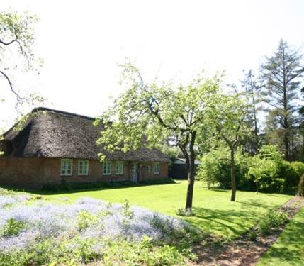 a house with a tree in front of a yard at Urlaub im Friesenhaus in Langenhorn