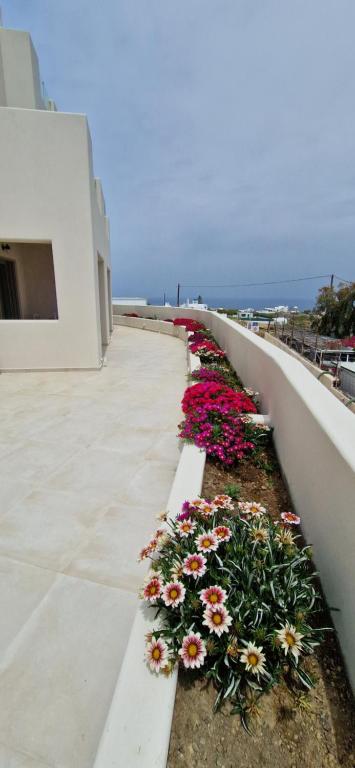 Lovely Hot-L - Resim 4