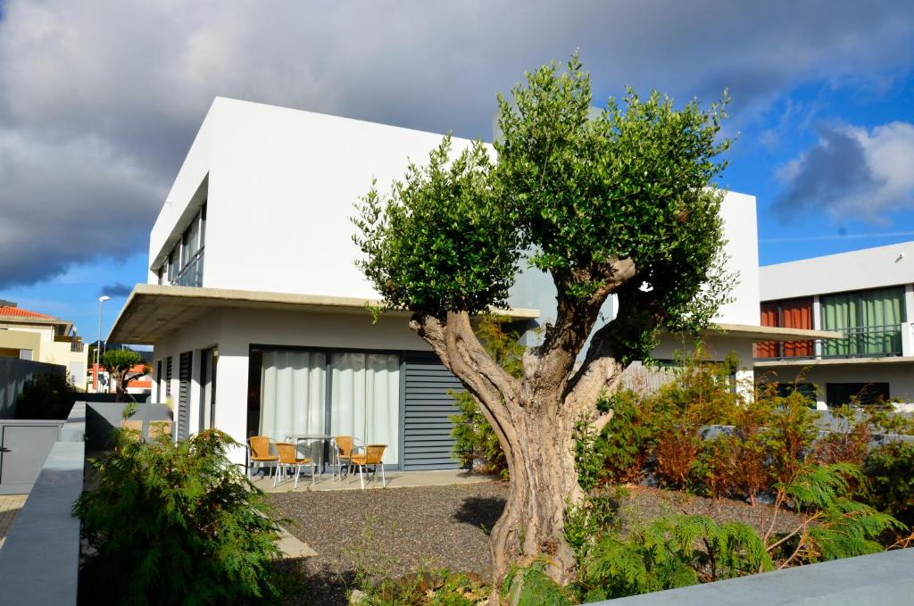 une maison avec un arbre en face dans l'établissement Vilas Espírito Santo, à Porto Santo