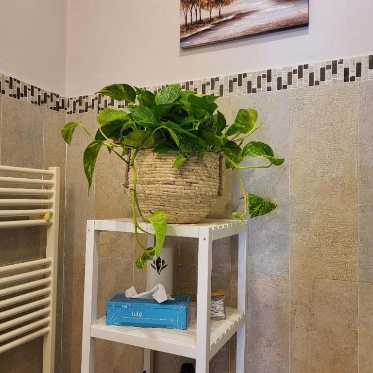 Fotografie z fotogalerie ubytování La torre v destinaci Velletri
