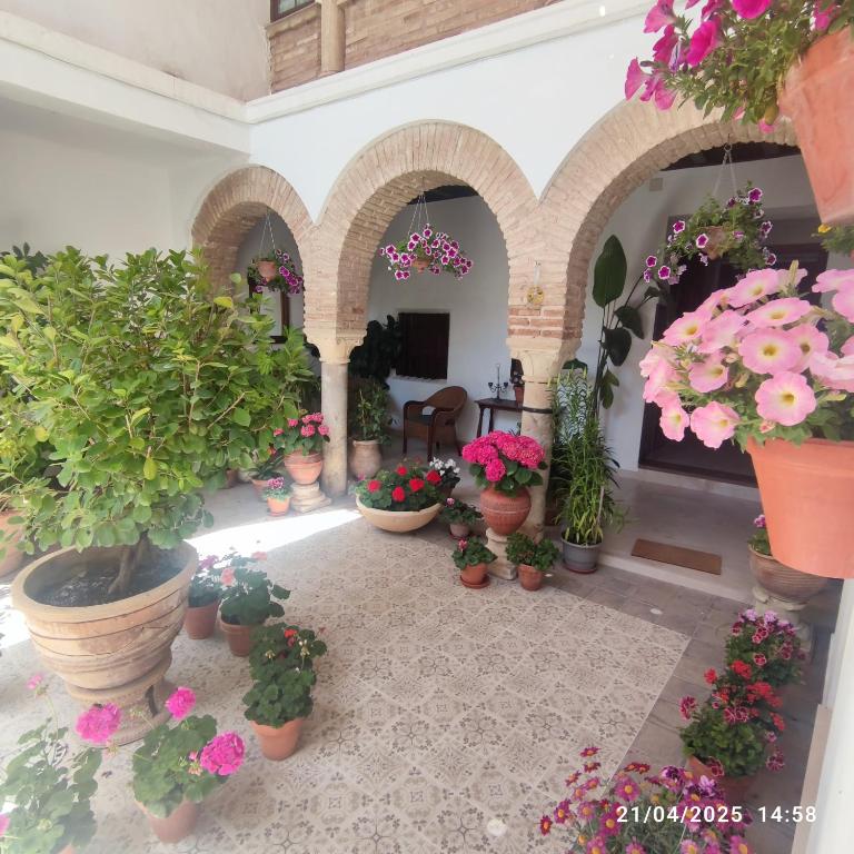 El patio de Regina - 1