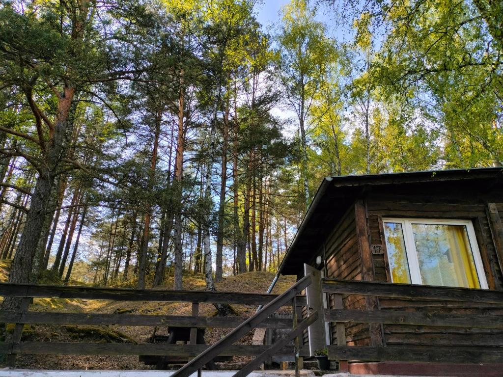 Příroda nedaleko kempu