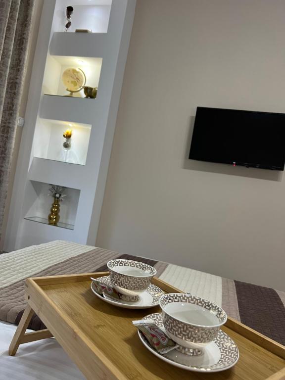TV a/nebo společenská místnost v ubytování Apartman Trg Lux